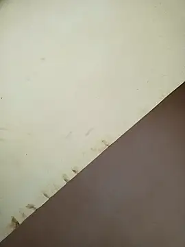 daddys_pen webcam