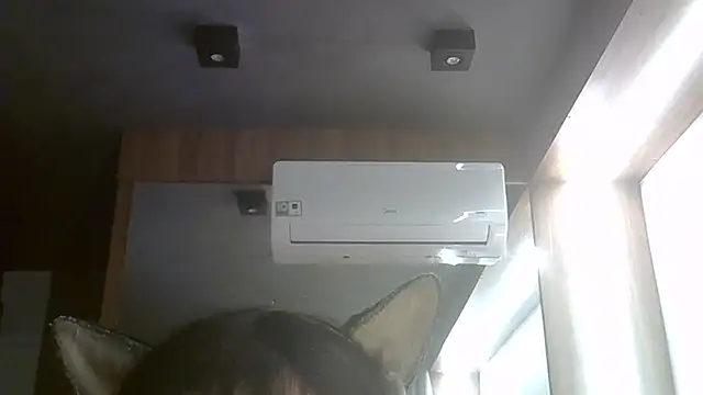 SkinnyKitten live cam
