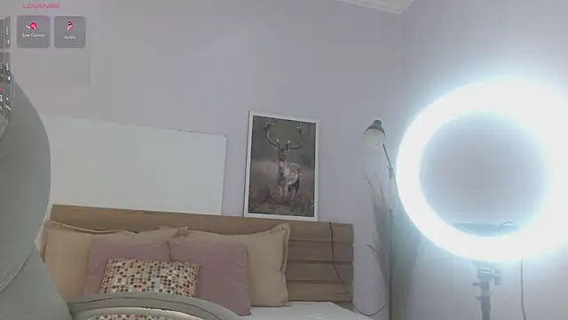 kimara_lion webcam