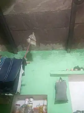 Mohnibhabi55A live cam on StripChat