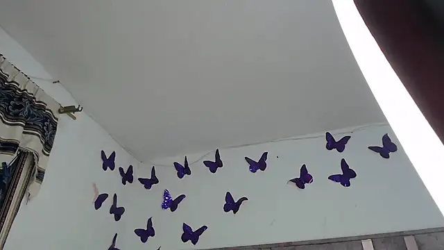 Anny-Fox webcam