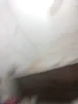 hot_bhabi0123 (F young) - Full nude 🌹 बूब्स दबाने