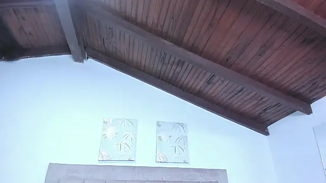 Sara_smithh_ webcam