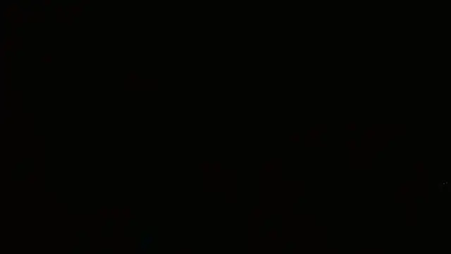Agatha_browser webcam