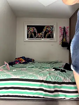 linatarens webcam