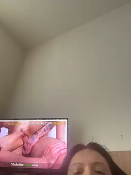 kotkite webcam