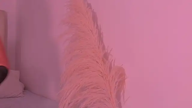 LaraBelmon webcam