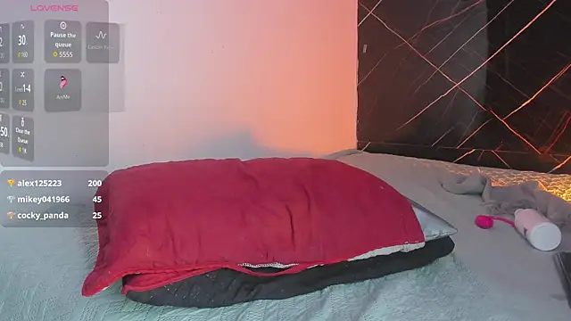 Stephane_rouse webcam