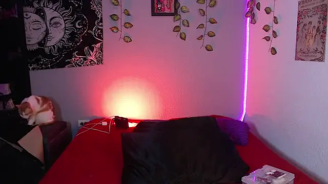 niakat_ webcam