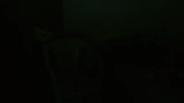 Agatha_browser webcam