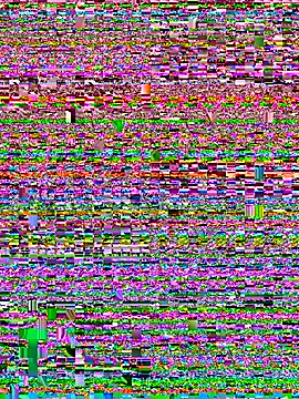 TeensNews18 webcam