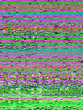 Xaannder webcam