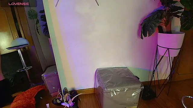 _im_evaa webcam