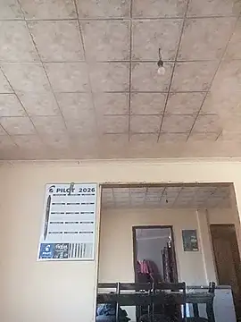 bandile3d live cam on StripChat