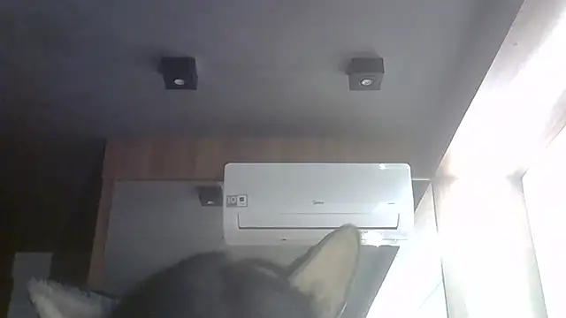 SkinnyKitten live cam
