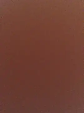 San-nia live cam on StripChat