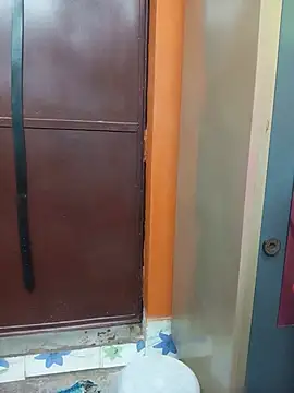 Manjudear webcam