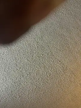 Stressreliever82 webcam