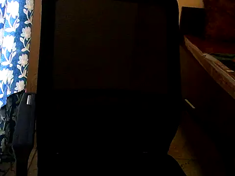 strip_vanya webcam