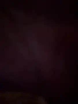 bttmpalermo