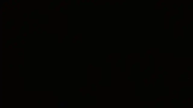 Agatha_browser webcam