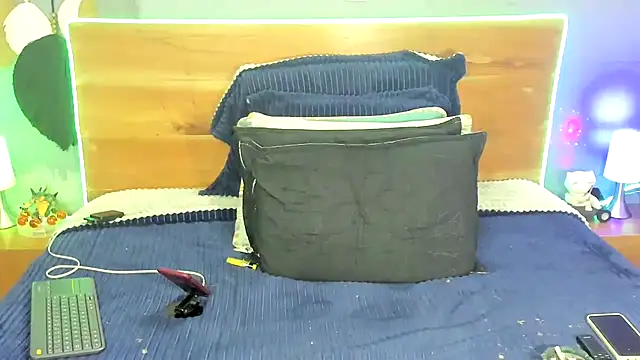 Prometeo-grizzly webcam