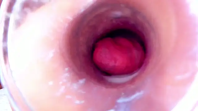 NikkaHOTx