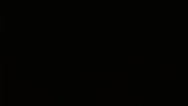 Agatha_browser webcam