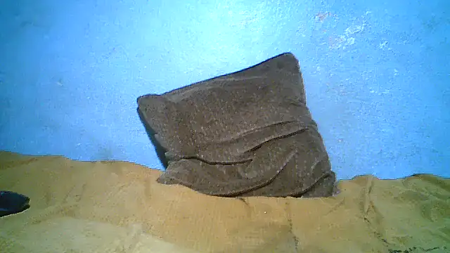 little__joy live cam