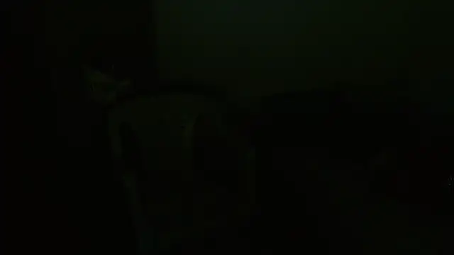 Agatha_browser webcam