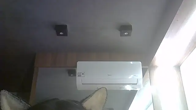 SkinnyKitten live cam