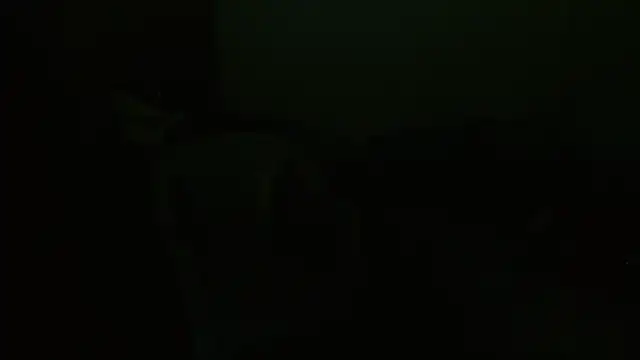 Agatha_browser webcam