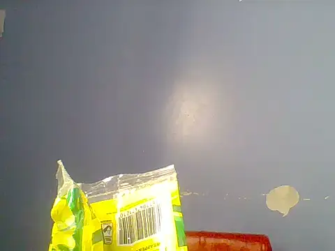 Chocolate-brownie webcam
