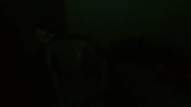 Agatha_browser webcam