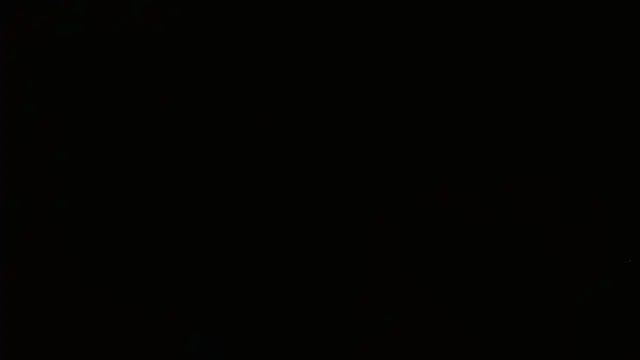 Agatha_browser webcam
