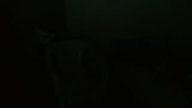 Agatha_browser webcam