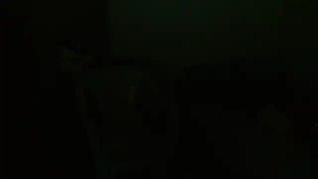 Agatha_browser webcam