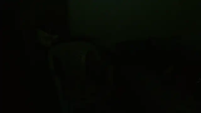 Agatha_browser webcam
