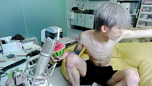 KPL-11 webcam