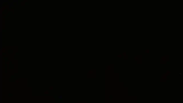 Agatha_browser webcam