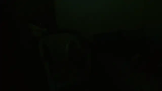 Agatha_browser webcam