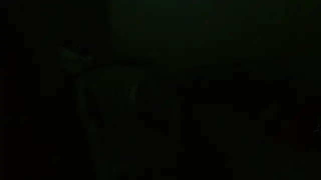 Agatha_browser webcam