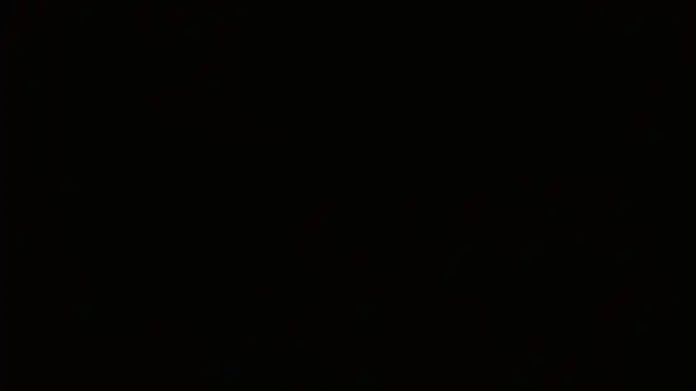 Agatha_browser webcam