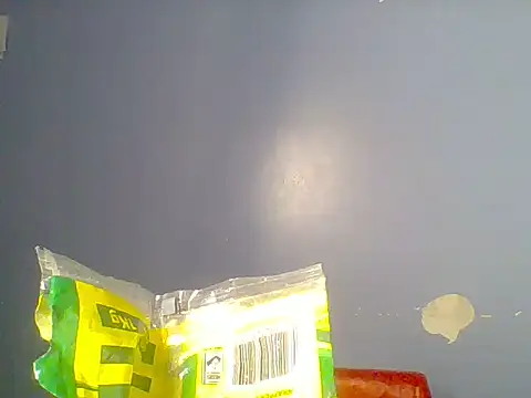 Chocolate-brownie webcam