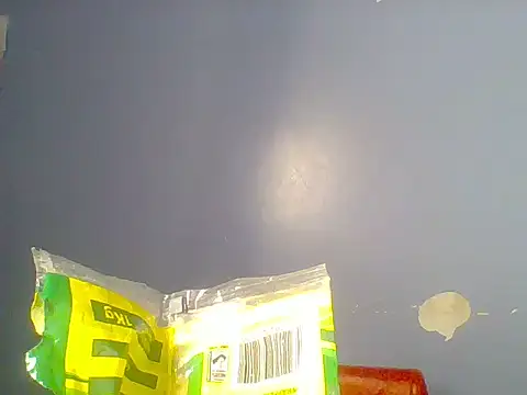 Chocolate-brownie webcam