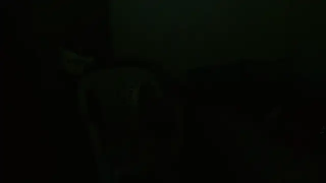 Agatha_browser webcam