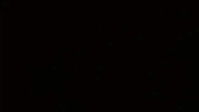 Agatha_browser webcam