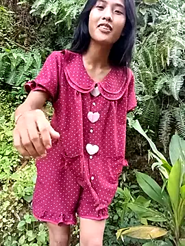 Hoa-tuylip webcam