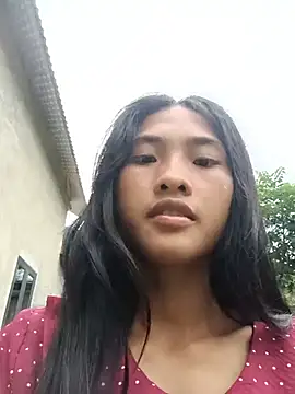 hoa-tuylip
