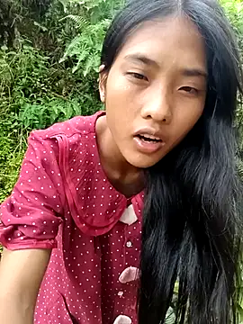 Hoa-tuylip